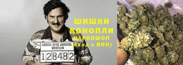 винт Инта